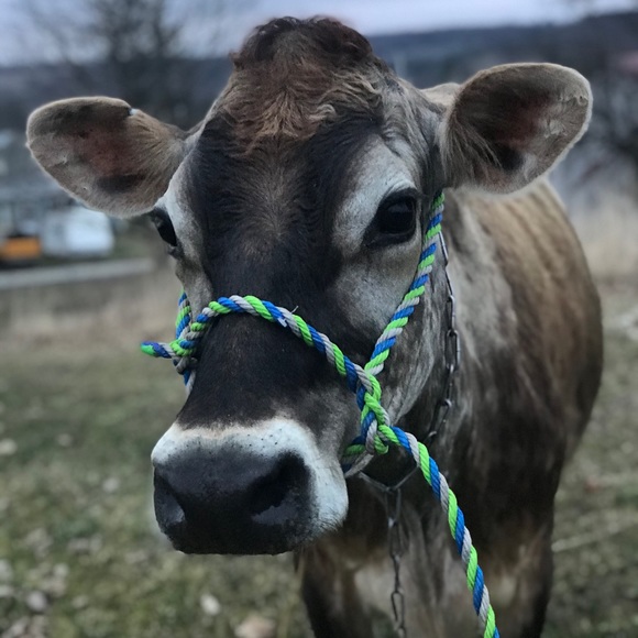 My Story - Picture 3 of 3